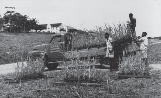 1965 – A Seed is Planted